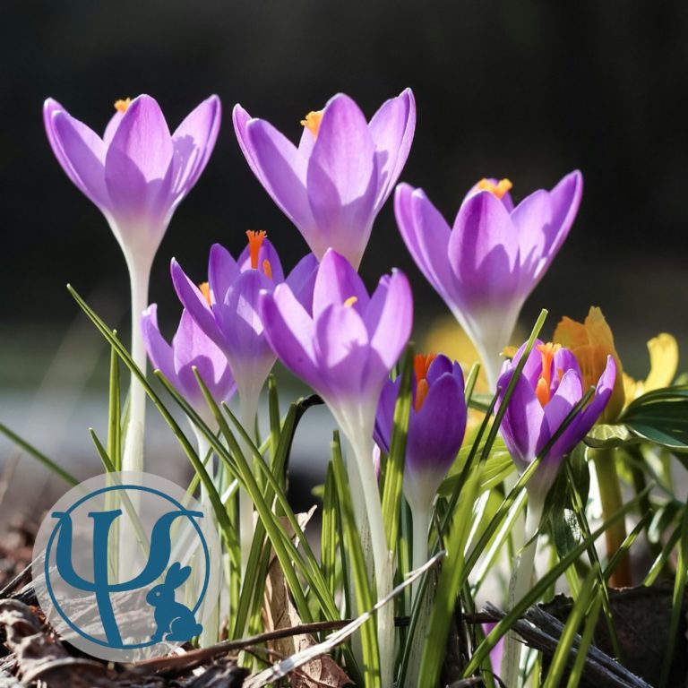 O odradzaniu się. Nie tylko wiosną.